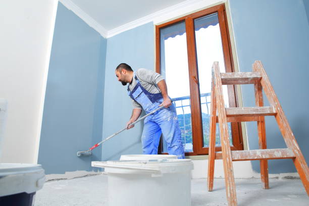 Best Repainting for Renovations  in Wailea, HI